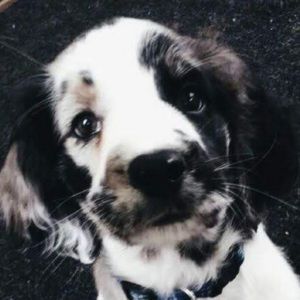 Meet your Posher, Caitlyn